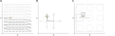 Lattice layout and optimizer effect analysis for generating optimal transcranial electrical stimulation (tES) montages through the metaheuristic L1L1 method